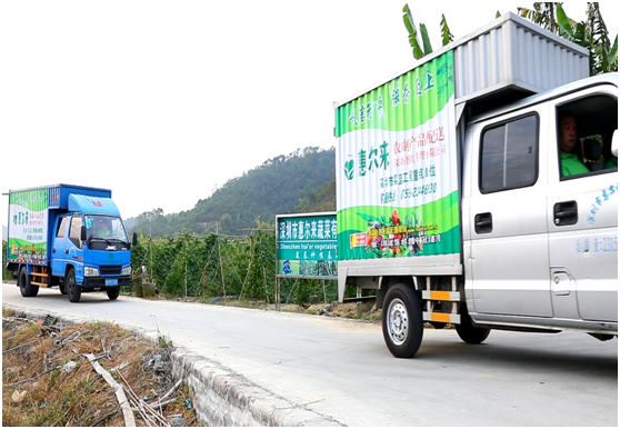 惠爾來發(fā)展歷程